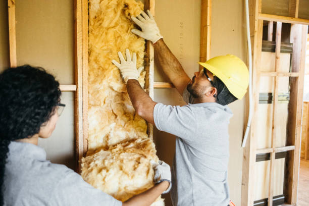 Best Batt and Roll Insulation  in Aspen, CO